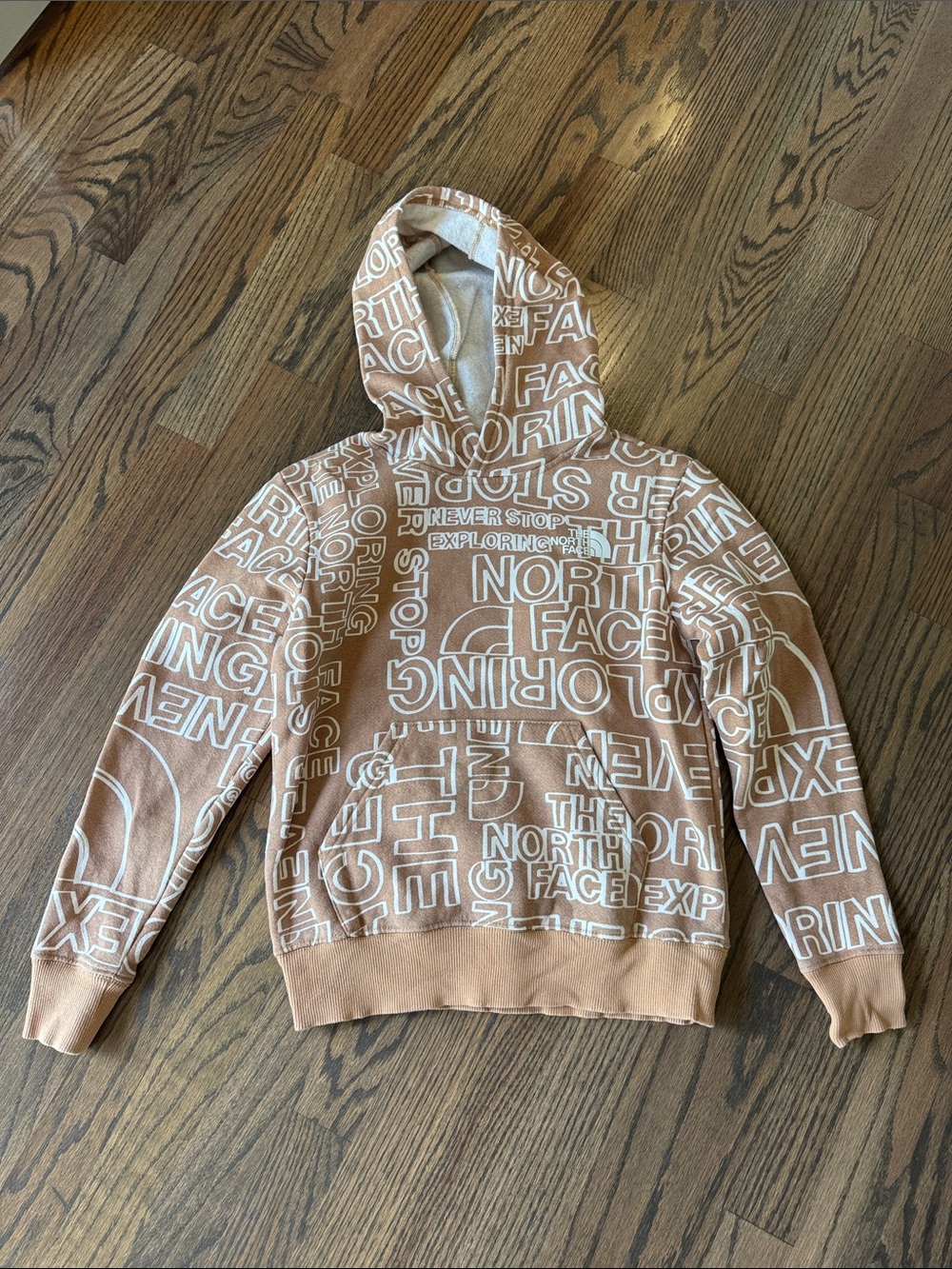 Boys The North Face Hoodie